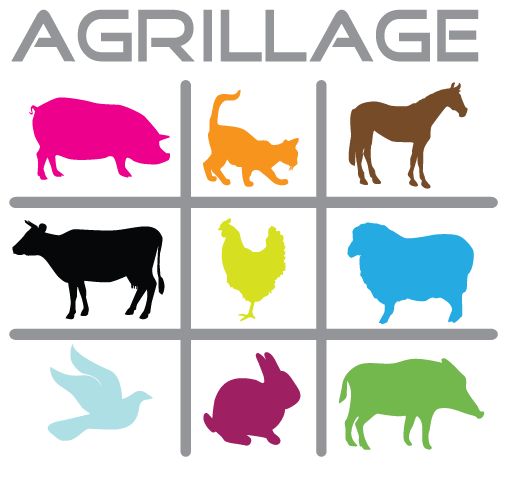 favicon logo AGRILLAGE